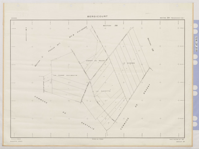 Plan du cadastre rénové - Bergicourt : section ZA