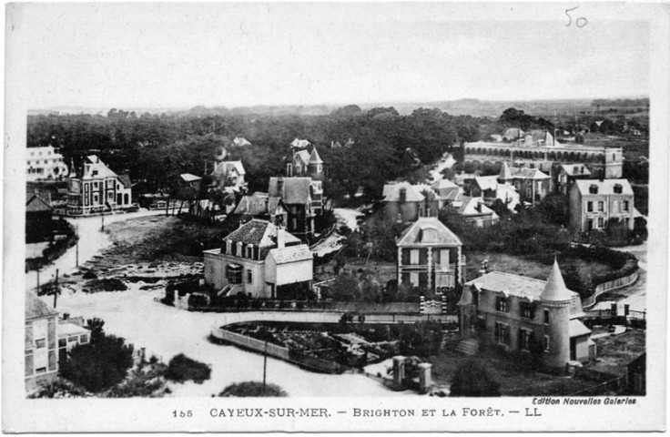 Brighton et la Forêt