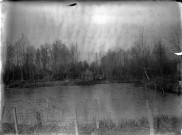Paysage rural. Vue d'un bois et d'un étang, 1899