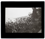Nice, vue prise dans le jardin de Monaco - mai 1905