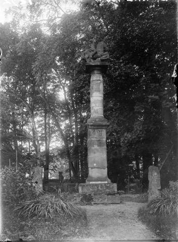 Epinal. Musée Chaumousey: colonne avec statue dite "cavalier à l'anguipède", trouvée dans la Moselle
