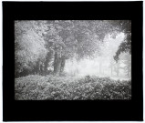 La Vieille Somme le parc - octobre 1931