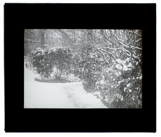 Effet de neige jardin Vulfran-Warmé 89 - février 1909