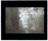 Chemin de la Vieille Somme - Effet de brouillard - octobre 1924