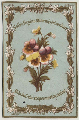 Salve Regina mater miséricordice. Un bouquet de pensées