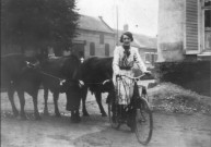 Rubempré. Régine Vilbert à bicyclette avec trois vaches devant la maison de M. Duhamel