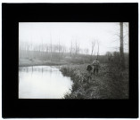 Vue prise dans le marais de Cagny - février 1905