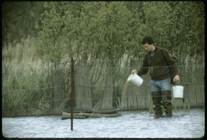 [Chasseur dans les marais]