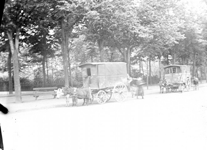 Boulevard du Mail. Des roulottes tirées par des ânes