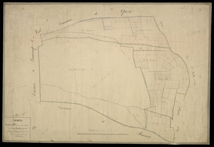 Plan du cadastre napoléonien - Liomer : Bois de Liomer (Le), B2