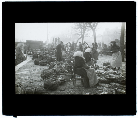 Marché aux légumes - mai 1906