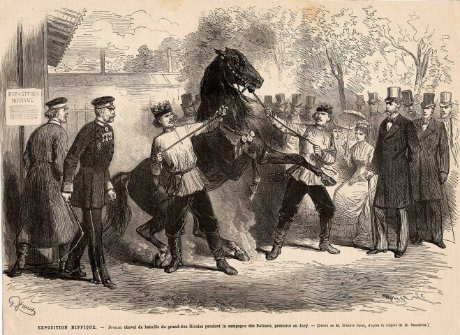 Exposition hippique : Drouze, cheval de bataille du grand-duc Nicolas pendant la campagne des Balkans, présenté au jury.- (Dessin de M. Gustave Janet, d'après le croquis de M. Samokine.)