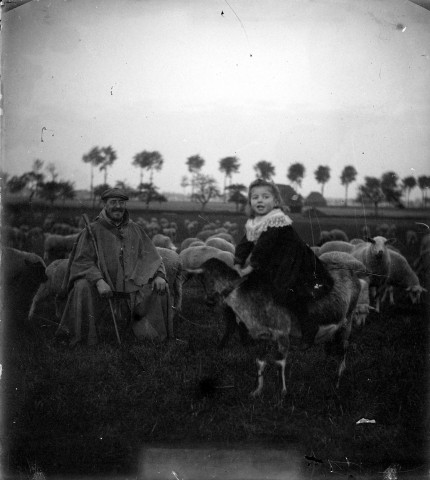 Un troupeau de moutons et son berger, portrait d'une enfant sur un mouton