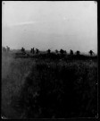 Offensive franco-anglaise (juillet, décembre 1916) Attaque anglaise sur le Front de la Somme, 1er juillet 1916