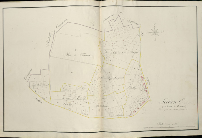 Plan du cadastre napoléonien - Atlas cantonal - Vermandovillers : Bois à Femmes (Le), E