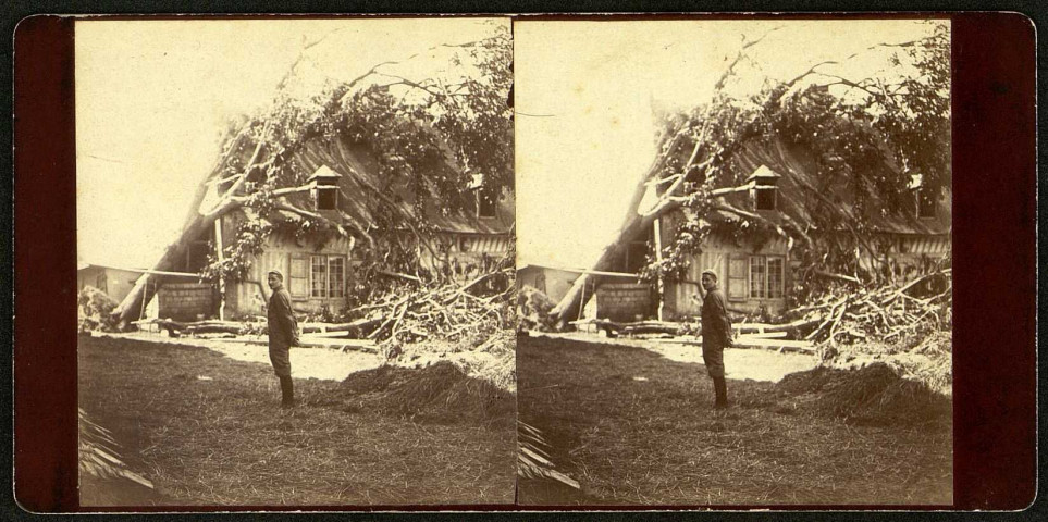 Beaucamps-le-Vieux. Les dégâts de la tornade du 10 août 1895 : un villageois pose devant une maison sur laquelle sont venus se coucher des arbres déracinés
