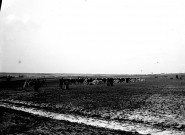Guerre 1914-1918. La ligne de batterie d'artillerie du camp militaire