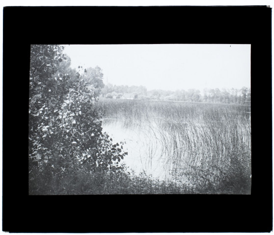 Marais de Glisy - mai 1905