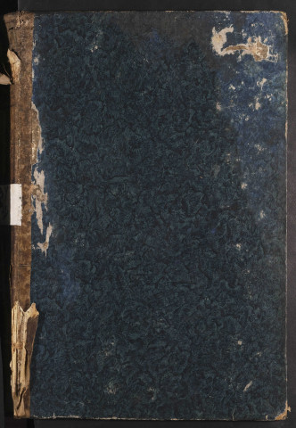 Maison de correction dite Bicêtre à Amiens. Registre d'écrou : numéros 1993 à 2454. 09 juillet 1818 - 29 juin 1821