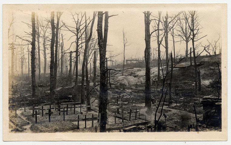 Vision apocalyptique de la guerre. Tombes de soldats parmi les arbres décharnés dans le bois du Satyre (ou bois des Satyres) défiguré par les cratères d'obus, près d'Estrées-Deniécourt