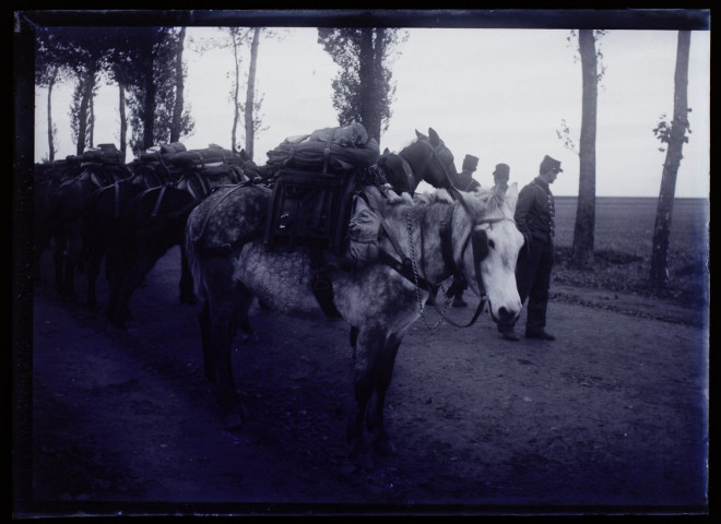 Manoeuvres d'octobre 1902 - route de Dury