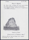 Tugny-et-Pont : mégalithe de la « pierre à béni » - (Reproduction interdite sans autorisation - © Claude Piette)
