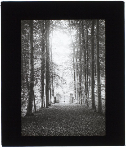 Parc du château de Guyencourt - octobre 1908