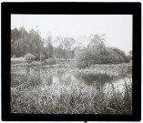Marais de Glisy - mai 1907
