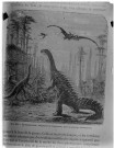 Fig. 303. - Les dinosauriens : stégosaure et compsonote dans un paysage d'araucariées