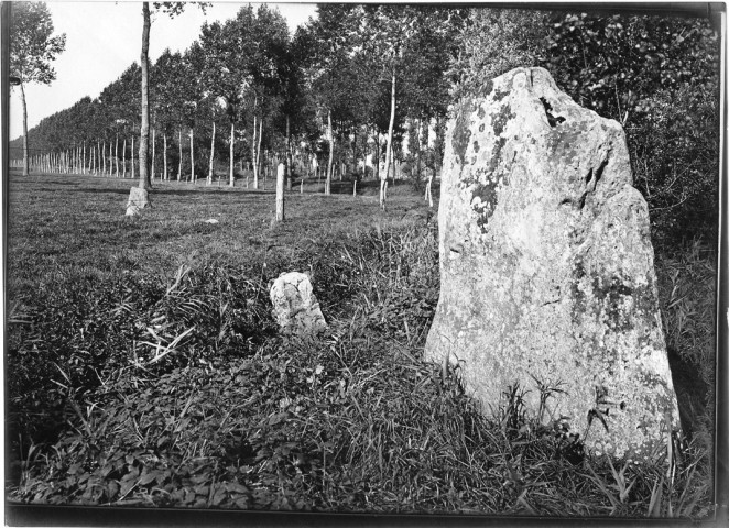 L'alignement de pierres mégalithiques à Eppeville
