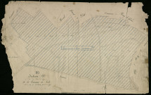 Plan du cadastre napoléonien - Nesle : Bois de Rouy (Le), A