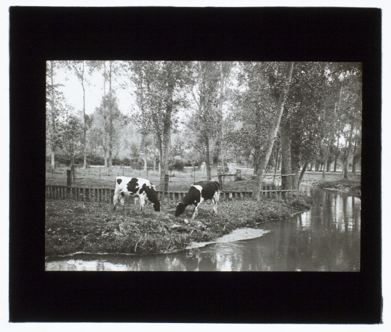 Marais de Berny - octobre 1910