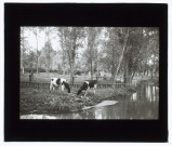 Marais de Berny - octobre 1910