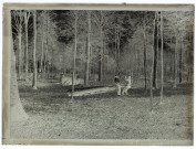 Excursion bois d'Hébécourt - mai 1901
