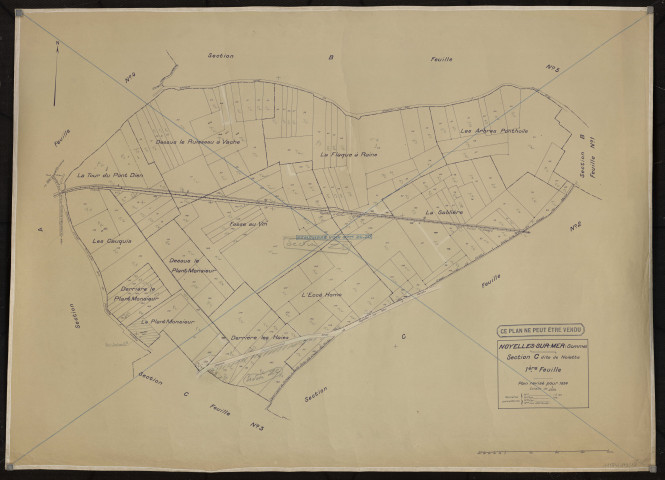 Plan du cadastre rénové - Noyelles-sur-Mer : section C1