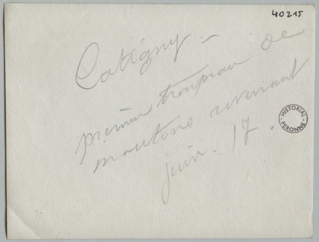 CATIGNY. PREMIER TROUPEAU DE MOUTONS REVENANT JUIN 17