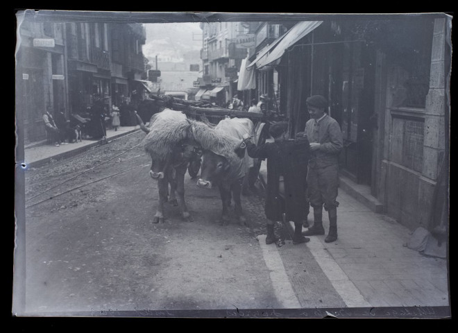 Attelage de boeufs à Lourdes - juillet 1908