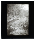 Ruisseau à Taussacq (Somme) - septembre 1909