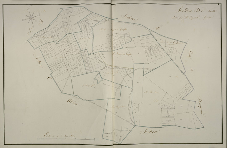 Plan du cadastre napoléonien - Bussus-Bussuel (Bussu) : D1