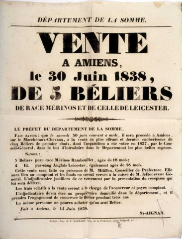 Vente à Amiens, le 30 juin 1838, de 5 béliers de race Mérinos et de celle de Leicester