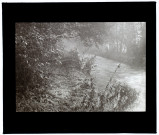 L'Âvre à Boves - brouillard - octobre 1933
