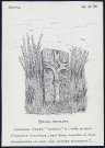 Bavelincourt : pierre tombale à l'orée du bois - (Reproduction interdite sans autorisation - © Claude Piette)