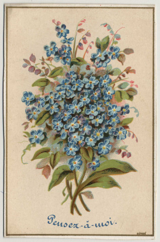 Pensez à moi. Un bouquet de fleurs. A ma chère petite Lucie