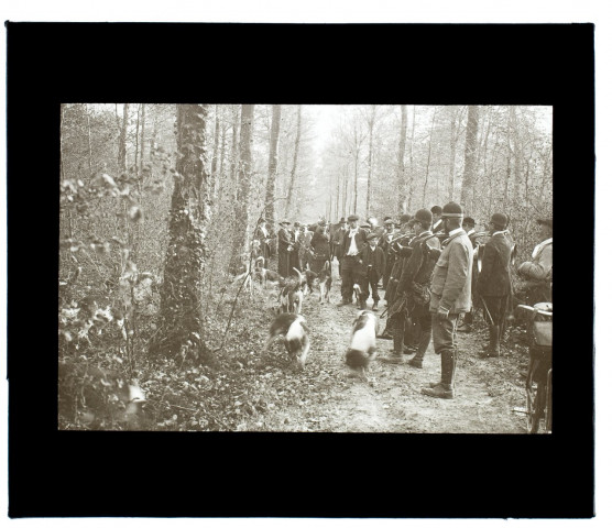 Chasse à courre forêt d'Eu - avril 1914