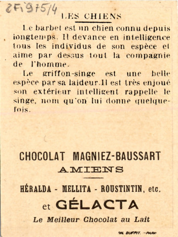 Chocolat Magniez-Baussart, Amiens. Barbet. Dandy-Terrier