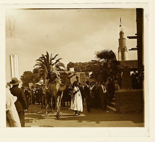 Vincennes. Exposition coloniale internationale : promenade en chameau