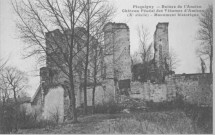 Ruines de l'ancien château féodal des Vidames d'Amiens (Xè siècle) - Monument historique