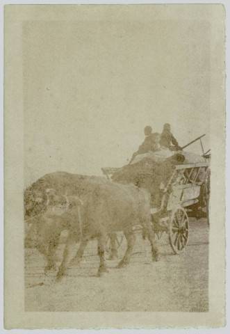 PHOTOGRAPHIE MONTRANT UNE CHARETTE TIREE PAR DES BOEUFS. SEPIA. PASSEE. MARCELLE TINAYRE (1870-1948). ECRIVAIN