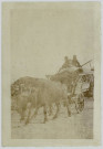 PHOTOGRAPHIE MONTRANT UNE CHARETTE TIREE PAR DES BOEUFS. SEPIA. PASSEE. MARCELLE TINAYRE (1870-1948). ECRIVAIN