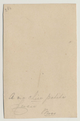 Pensez à moi. Un bouquet de fleurs. A ma chère petite Lucie